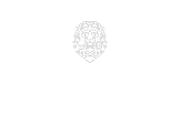 WisdomStream AI